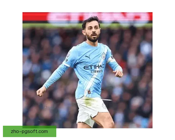 B席在美洲杯赛场上的统治力与影响力分析